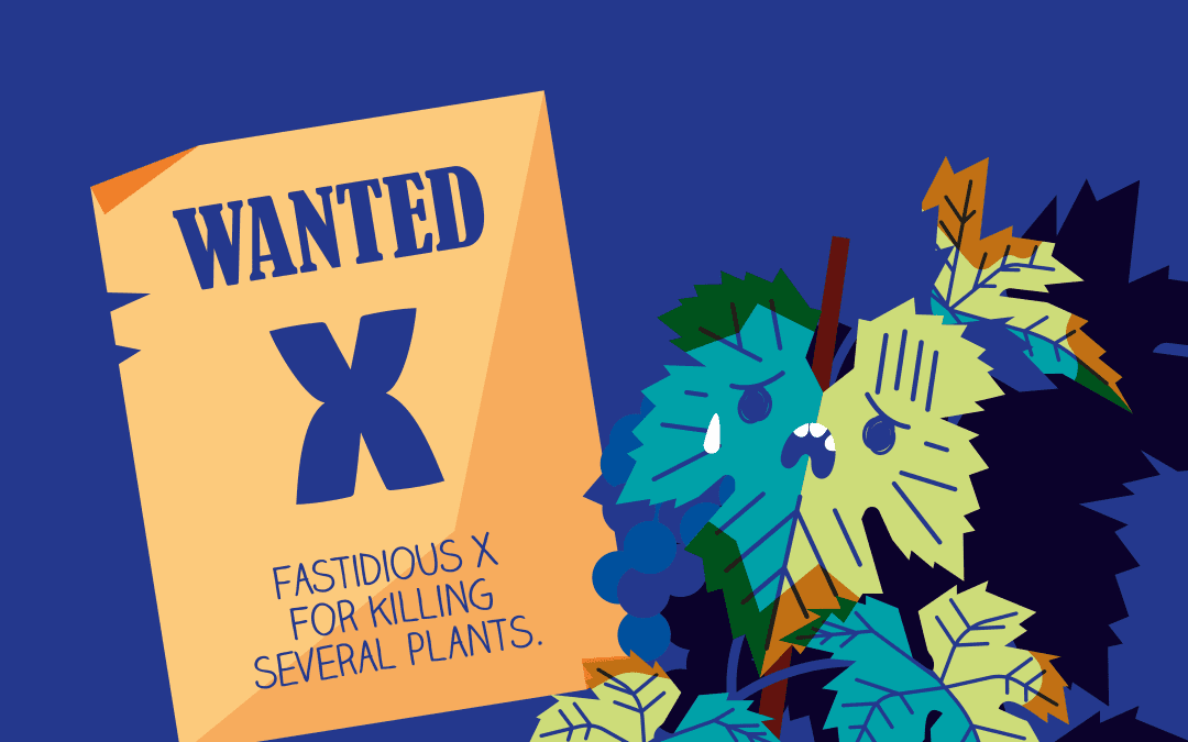 Boom! Partenza a razzo per un fumetto EFSA sulle piante – www.efsa.europa.eu