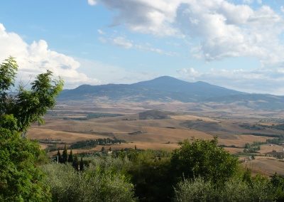 Allevatori colpiti da predazioni, scatta l’economia circolare per le carcasse
– www.toscana-notizie.it