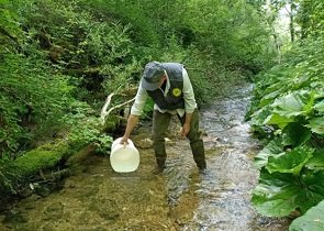 trote fario, assessore morroni: parere favorevole del mase all’immissione nel reticolo idrografico regionale – www.regione.umbria.it