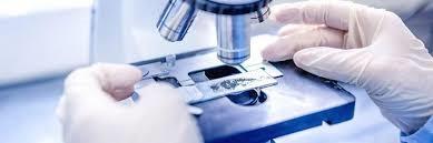 Sperimentazione per la cura della leucemia mieloide acuta, 450 mila euro all'Azienda Ospedaliero Universitaria per la ricerca – www.regione.marche.it