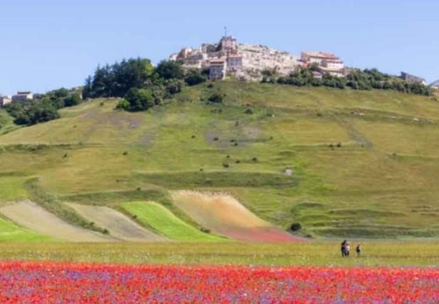 Castelluccio di Norcia: l’USR avvia indagine di mercato per l’attuazione degli interventi di ricostruzione edifici pubblici e privati, opere di urbanizzazione e strutture fondali antisismiche – www.regione.umbria.it