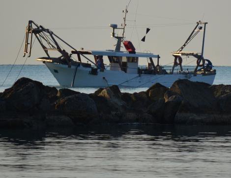 Protesta delle marinerie, Saccardi al fianco di imprese e lavoratori 
						 – www.toscana-notizie.it