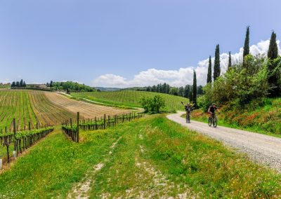 Giani e Marras contro la ‘Toscana Occitana’: “Il furto d’identità è reato”
– www.toscana-notizie.it
