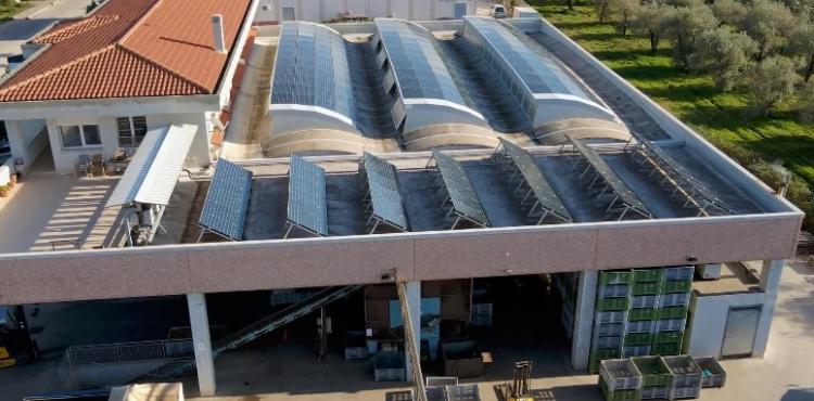 Accademia Olearia, il gusto della tradizione nell’olio extravergine di oliva che conquista il mondo


      
        Browse
      
    
    

            
  
    

      

  


          
   – www.sardegnaimpresa.eu