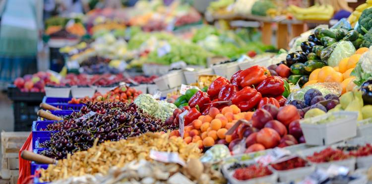 Agroalimentare, Camere di commercio e Garante per la sorveglianza dei prezzi vigileranno sugli aumenti


      
        Browse
      
    
    

            
  
    

      

  


          
   – www.sardegnaimpresa.eu