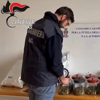 (Stupefacenti) Carabinieri NAS Torino: controlli alle rivendite di prodotti a base di canapa light: 14 persone deferite all’A.G. – www.salute.gov.it