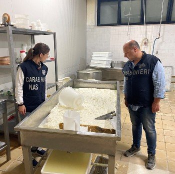 caseificio abusivo scoperto ad Andria (BT) – www.salute.gov.it