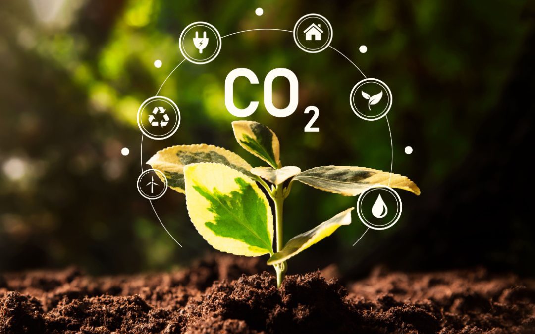 Ambiente riduzione Co2. Maione: investiti 200 milioni – www.lombardianotizie.online