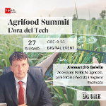 LâEXPORT IN TEMPI DI GUERRA CONFRONTO GALELLA-PRANDINI- DE CASTRO 
		 – www.regione.basilicata.it