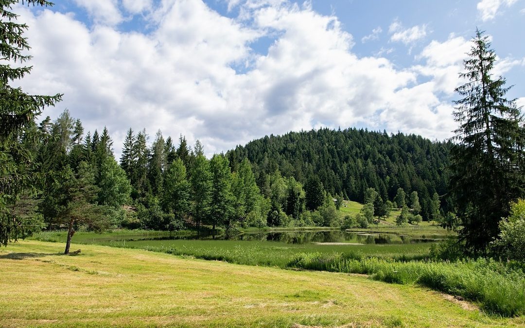 Villa di Tirano, approvato Piano integrato riserva naturale Pian di Gembro – www.lombardianotizie.online