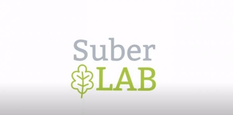 Suber Lab, la startup sarda che certifica qualità e sicurezza dei tappi di sughero per i grandi vini


      
        Browse
      
    
    

            
  
    

      

  


          
   – www.sardegnaimpresa.eu