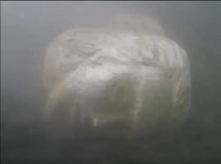 Misterioso ritrovamento nel lago di Nemi – VisitLazio – www.visitlazio.com