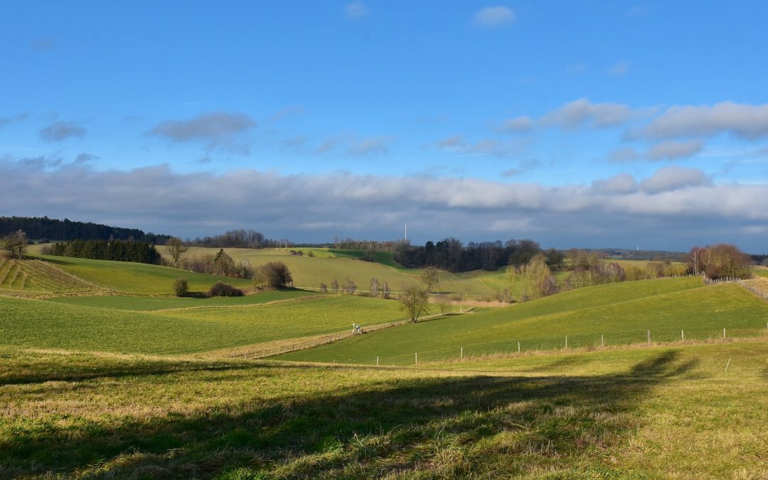 PSR FEASR, operazione 10.2.3: prorogata la scadenza – www.lazioeuropa.it