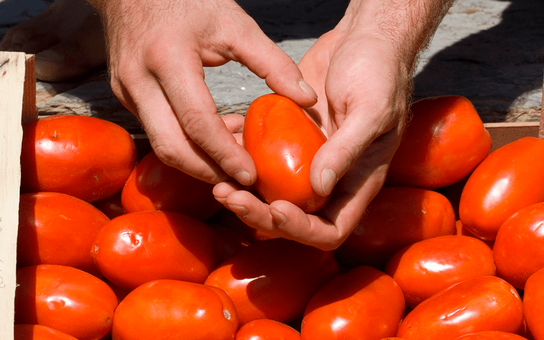28esima sessione del Comitato misto Francia-Spagna-Italia-Portogallo per l'ortofrutta – www.politicheagricole.it