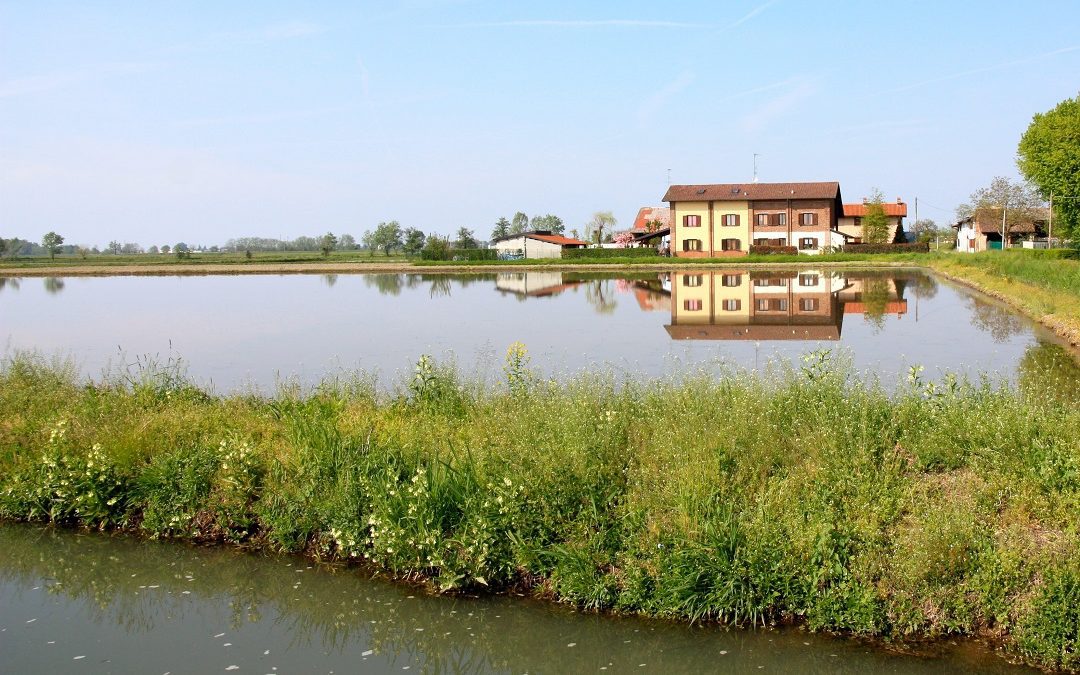 Lombardia sta uscendo da crisi – www.lombardianotizie.online