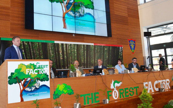 Foreste. Lollobrigida: tutela e valorizzazione verso una sostenibilità ambientale – www.politicheagricole.it