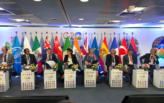 G20. Lollobrigida, modello agricolo Italia basato su terra e lavoro. Biodiversità ricchezza, immaginare strategia tutela – www.politicheagricole.it
