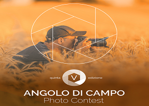 “angolo di campo, un altro modo di raccontare l’agricoltura”: ecco la giuria di qualità del concorso fotografico promosso dall’assessorato regionale e ideato dall’autorità di gestione del csr per l’umbria. premiazione sabato 16 settembre a perugia – www.regione.umbria.it