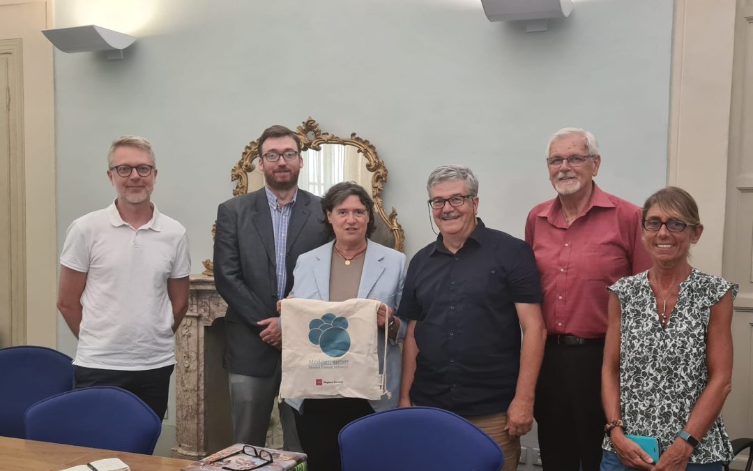 “Foreste modello”, rinsaldata la collaborazione tra Toscana e Canada 
						 – www.toscana-notizie.it
