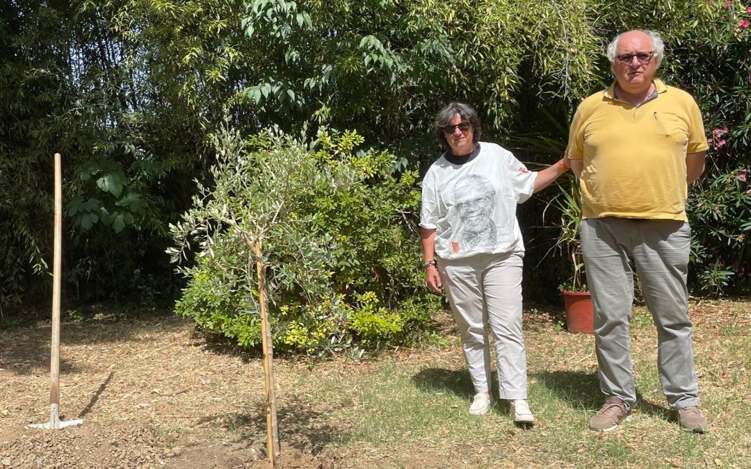 Mandela Day, la Regione aderisce. La vicepresidente Saccardi pianta un ulivo  
						 – www.toscana-notizie.it
