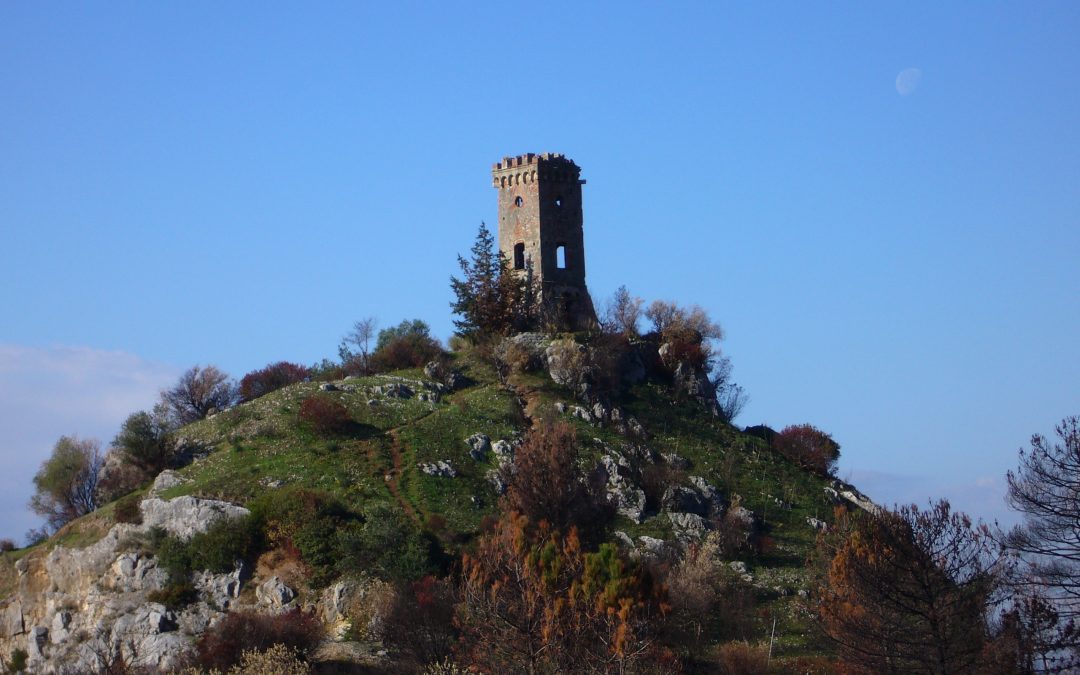 Pubblico e privato si mobilitano per il recupero della Torre degli Upezzinghi a Caprona 
						 – www.toscana-notizie.it