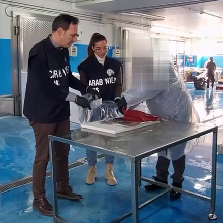 intossicazione da tonno sofisticato, eseguite 18 misure cautelari – www.salute.gov.it