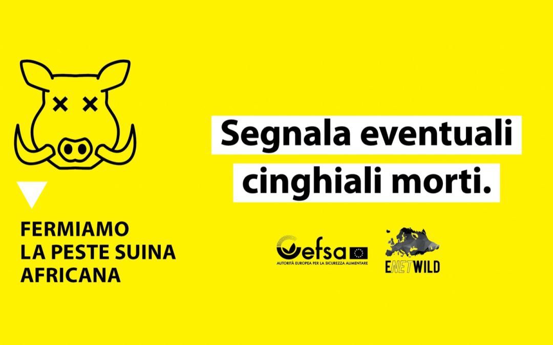 Peste suina africana (PSA) – www.salute.gov.it