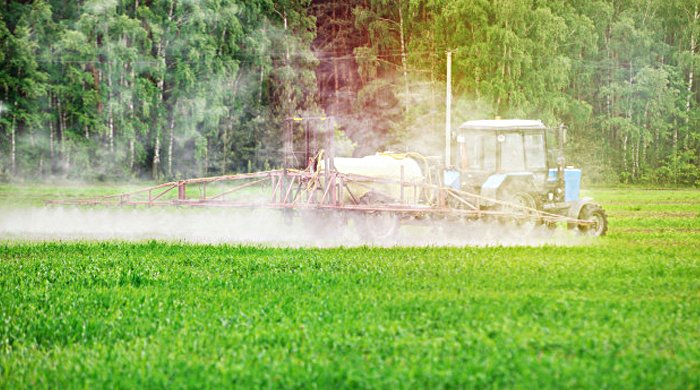 Autorizzazione di prodotti fitosanitari destinati all’uso non professionale – www.salute.gov.it