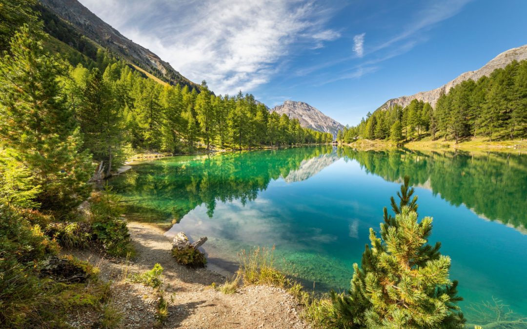 Chiavenna/So, progetto Interreg ‘Omnibus 4.0’: sinergie vincenti – www.lombardianotizie.online