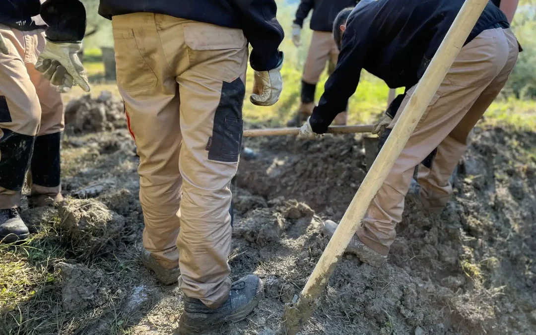Agribusiness, 1,6 milioni con l’Fse+ per formare figure professionali 
						 – www.toscana-notizie.it