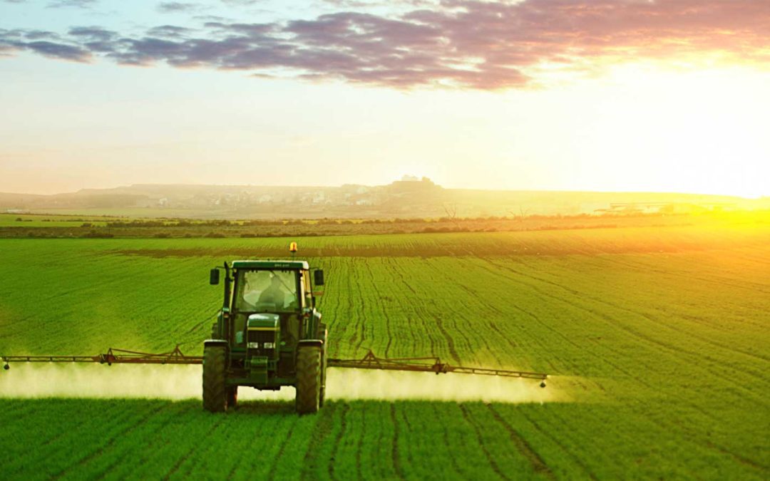 Incontro sulla programmazione Leader 2023-2027 nel Lazio – www.lazioeuropa.it