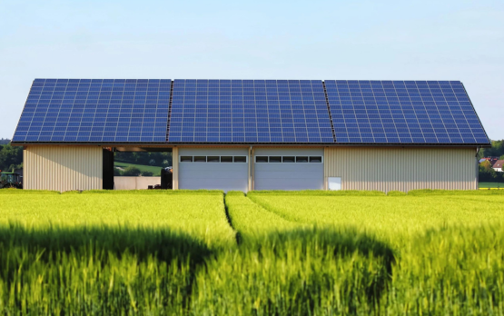 PNRR. Emanato avviso per domande impianti fotovoltaici – www.politicheagricole.it