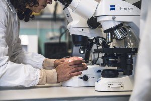Emilia-Romagna sempre  prima in Italia per innovazione – imprese.regione.emilia-romagna.it
