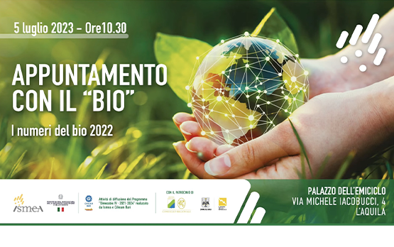 Biologico. Lollobrigida: sostenere legame tra territorio, cibo e salute – www.politicheagricole.it