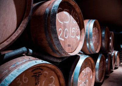 OCM Vino – Misura investimenti: attivato il bando per la campagna 2023/2024 – www.lazioeuropa.it