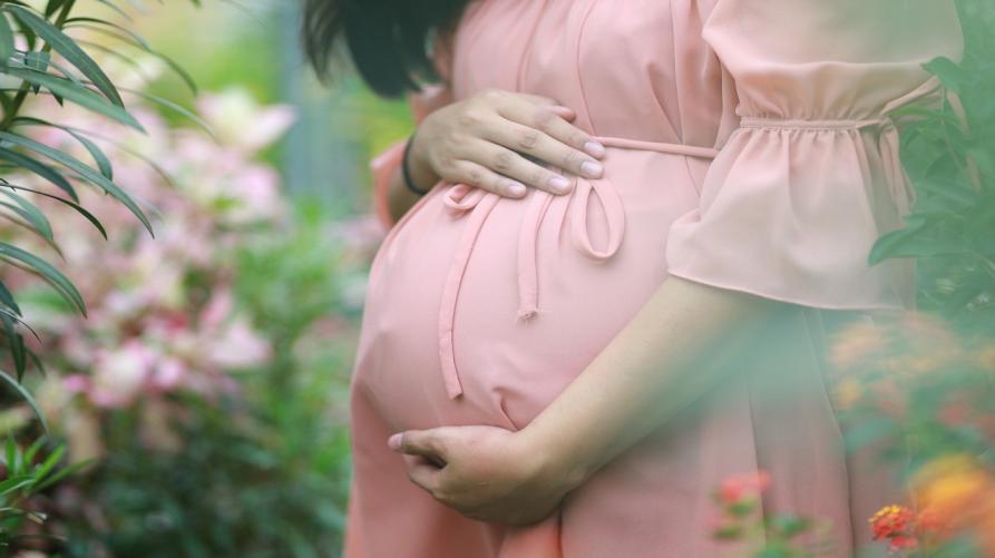 Vita Nascente: al Sant’Anna supporto e ascolto alle future mamme
 – www.regione.piemonte.it