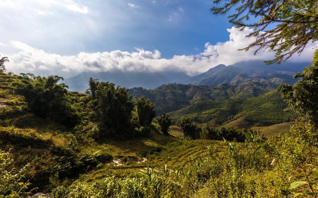 PSR 2014/2022, tipologia di operazione 10.2.3: seconda proroga per la presentazione delle domande – www.lazioeuropa.it