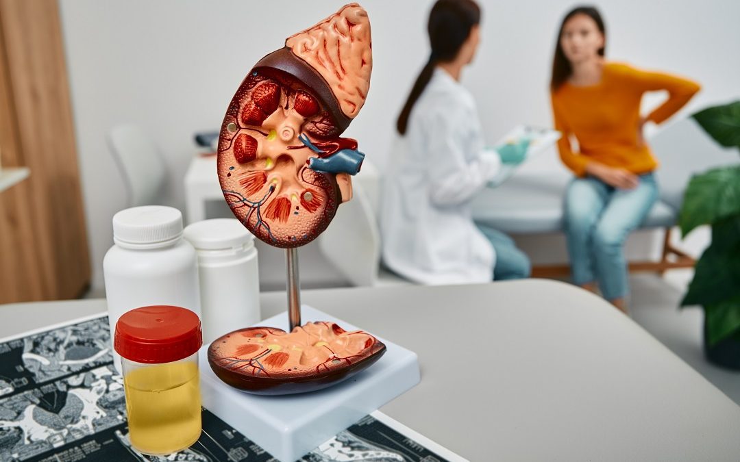 In Lombardia i nefropatici ritireranno in farmacia i prodotti per la dieta – www.lombardianotizie.online