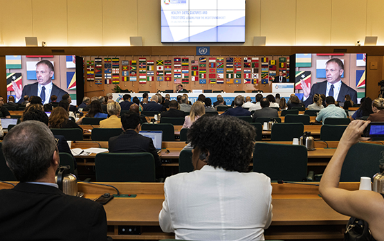 Fao. Lollobrigida, sfida è garantire buon cibo per tutti e di qualità – www.politicheagricole.it
