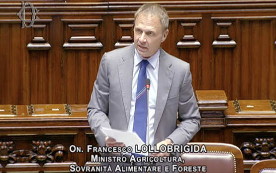 Question Time del ministro Lollobrigida alla Camera dei Deputati – www.politicheagricole.it