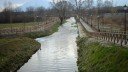 Aggiornamento dei criteri, delle modalità e dell’entità delle risorse destinate al finanziamento deg… – www.regione.campania.it