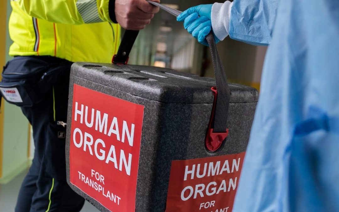 Al Policlinico di Milano 7 trapianti di polmone in pochi giorni – www.lombardianotizie.online