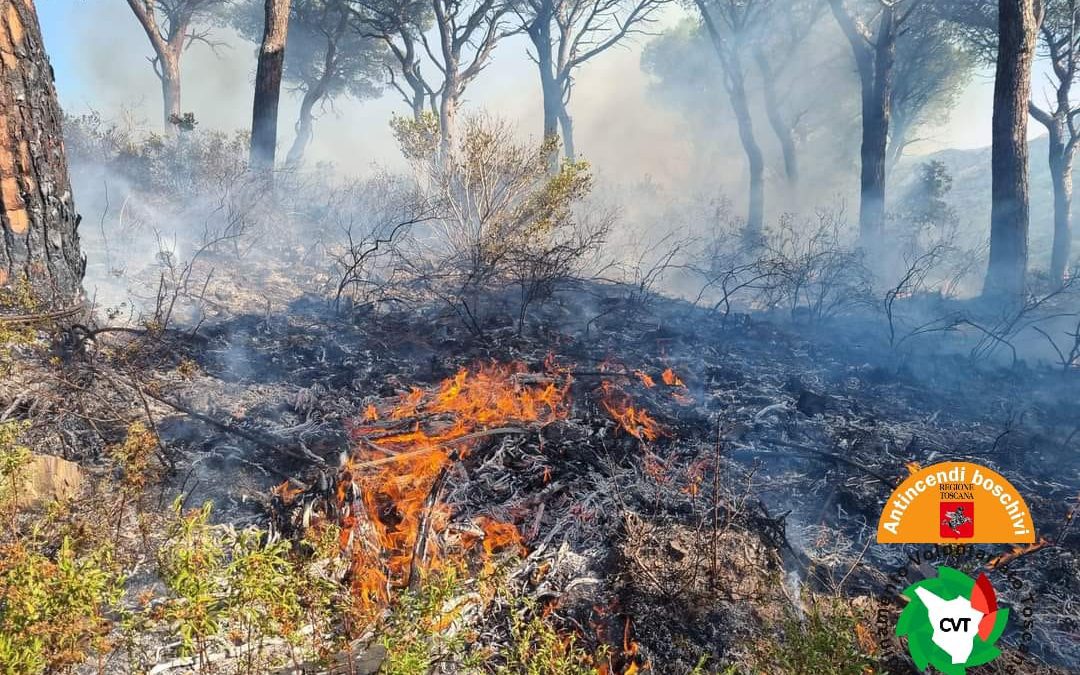 Incendio a Rio nell’Elba, fiamme sotto controllo. Danneggiato sottobosco pineta storica 
						 – www.toscana-notizie.it