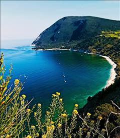 Navetta gratuita per Portonovo e la Riviera del Conero: dal 4 agosto un servizio gratuito collegherà il capoluogo e le località … – www.regione.marche.it