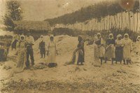 Una nuova veste per una fibra antica: a Villa Smeraldi-Museo della Civiltà Contadina un weekend dedicato alla canapa – patrimonioculturale.regione.emilia-romagna.it