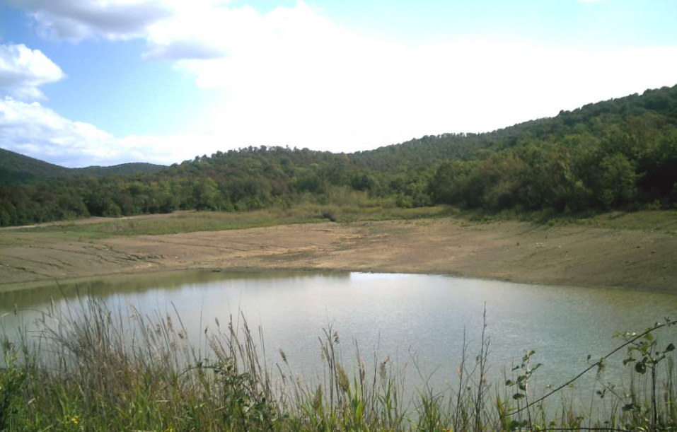 Siccità, 500mila euro a favore dei Consorzi di bonifica per progettare invasi e reti irrigue 
						 – www.toscana-notizie.it