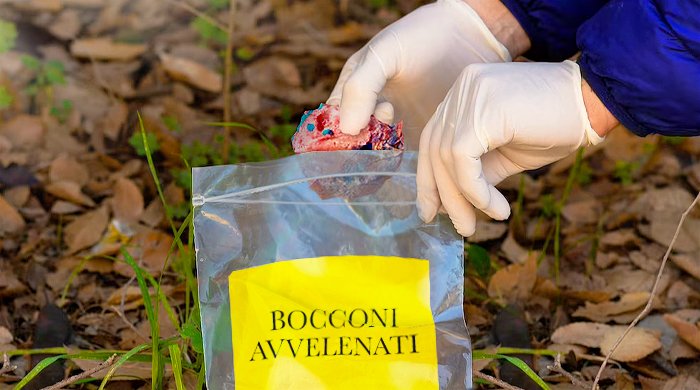 Esche e bocconi avvelenati, divieto di utilizzo e di detenzione – www.salute.gov.it