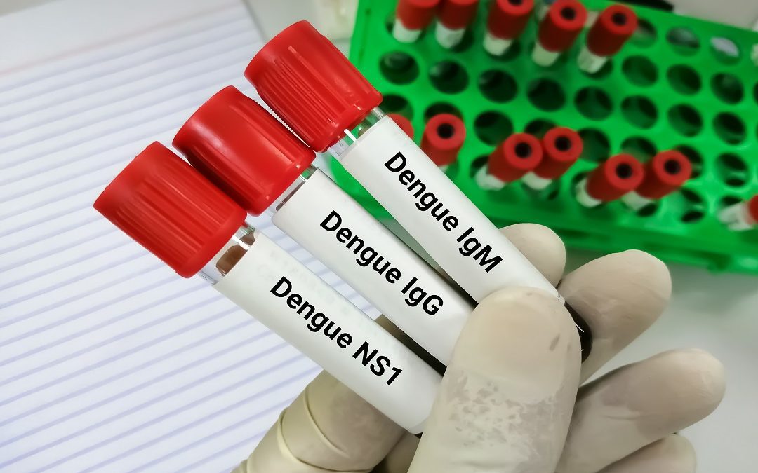 Virus Dengue, identificato in provincia di Lodi primo caso lombardo – www.lombardianotizie.online