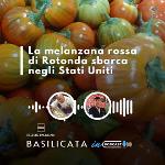 BASILICATA IN PODCAST, LA MELANZANA DI ROTONDA SBARCA NEGLI USA
		 – www.regione.basilicata.it