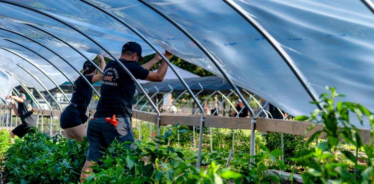 Coltivatori diretti e imprenditori agricoli: confermato l’esonero contributivo per nuovi iscritti


      
        Browse
      
    
    

            
  
    

      

  


          
   – www.sardegnaimpresa.eu